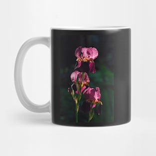 Irises Mug